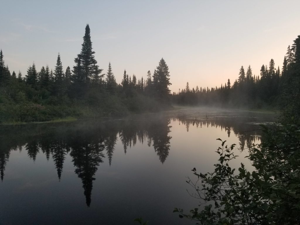 Foggy morning along the Poplar River, MN