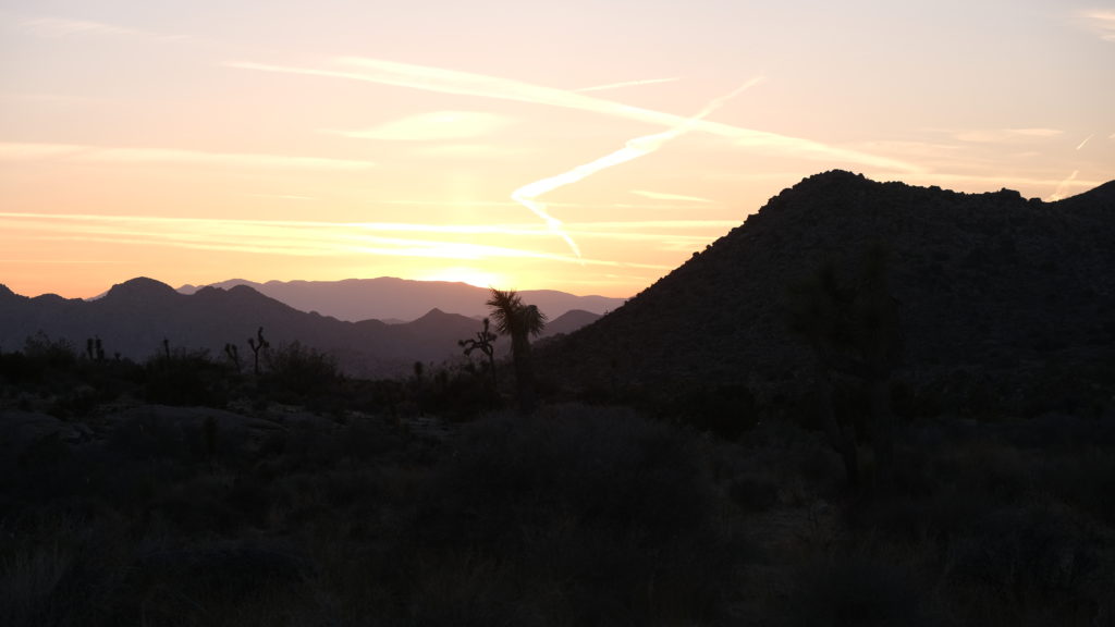 Joshua Tree National Park, CA