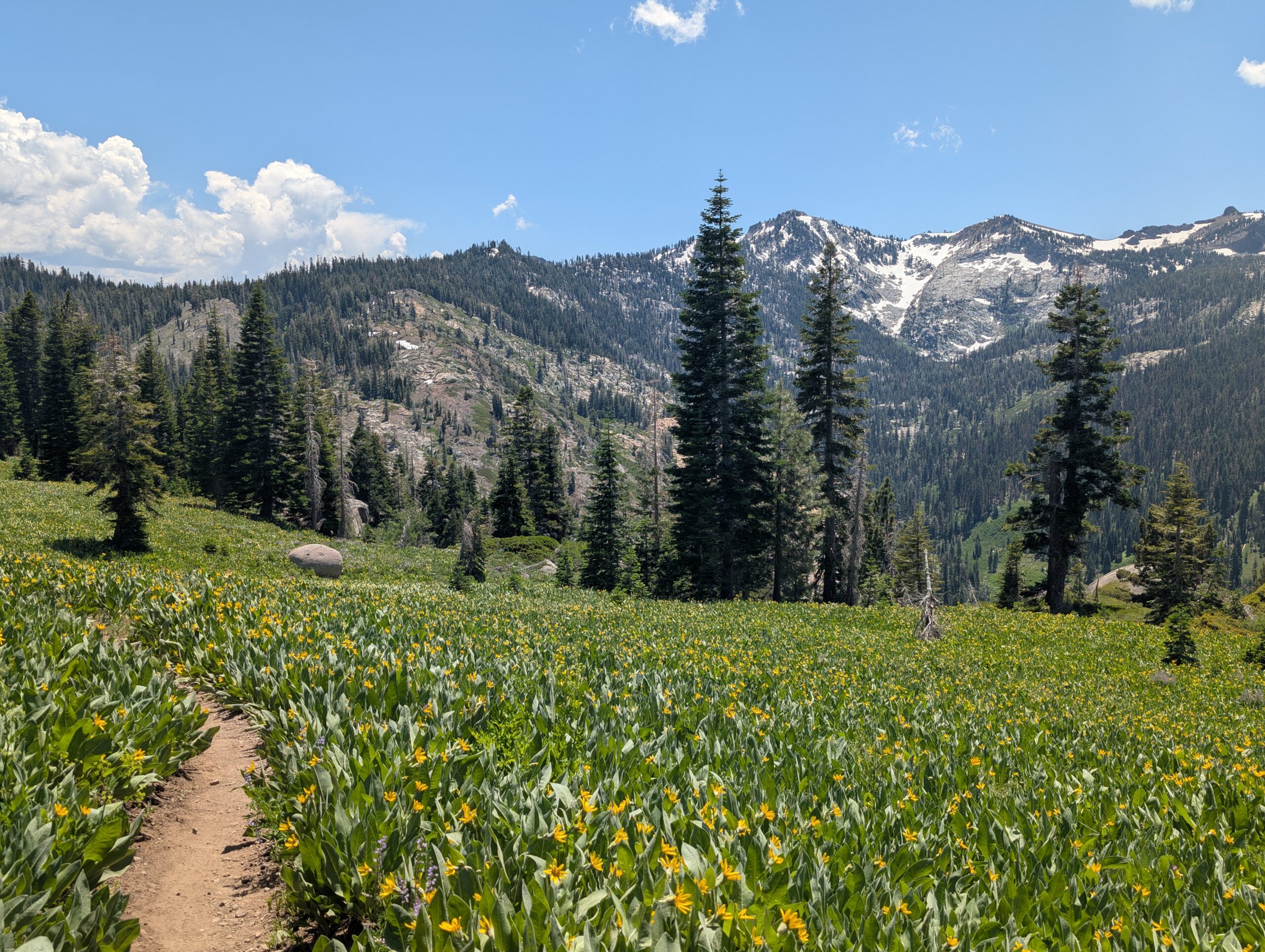 [PCT Mile 1,105-1,281] We Are So Back